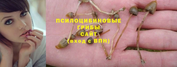 MDMA Premium VHQ Магадан
