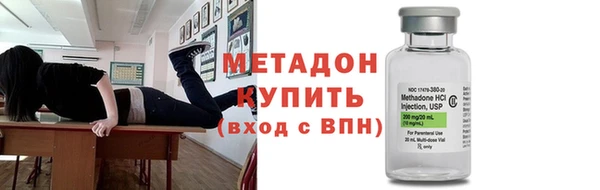 индика Медвежьегорск
