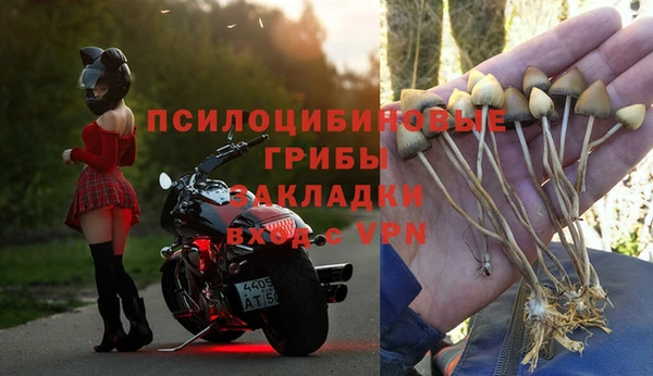 индика Медвежьегорск