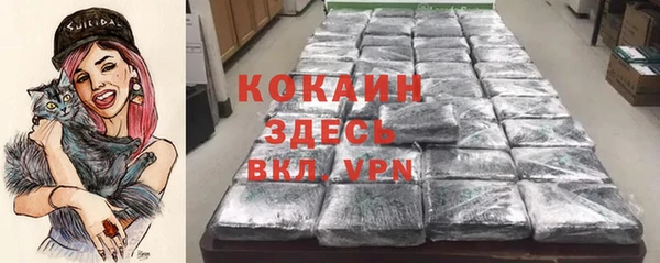 индика Медвежьегорск