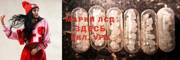 индика Медвежьегорск