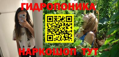 spice Дубна