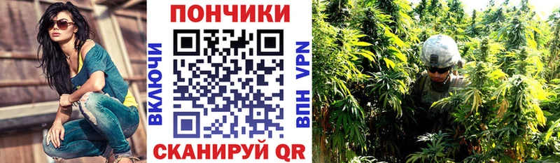 Каннабис SATIVA & INDICA  гидра как войти  Юрга  где можно купить  